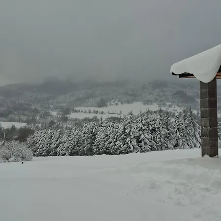 Villa Brzozowe Wzgorze Wysowa-Zdrój